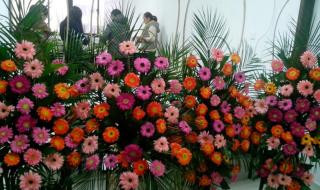 学习开花店